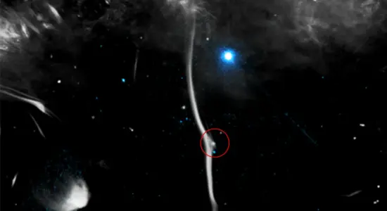 Cosmic Snake
