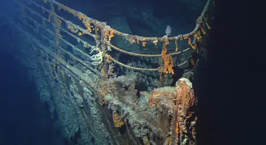 Human Remains Titanic