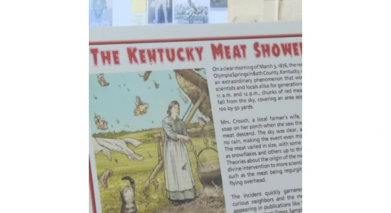 1876 mystery meat shower