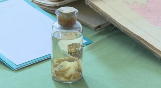 Kentucky 1876 mystery