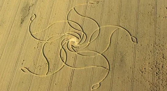 The Crop Circle Mystery