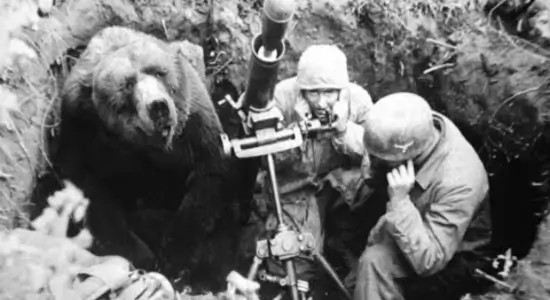 Wojtek the Bear