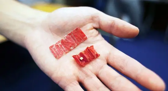 swallowable origami robot surgeon