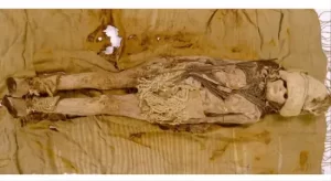 3,600-year-old kefir cheese