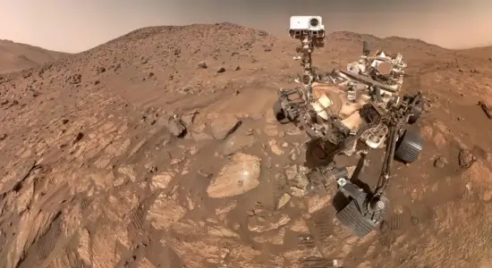 robust organic detection on Mars