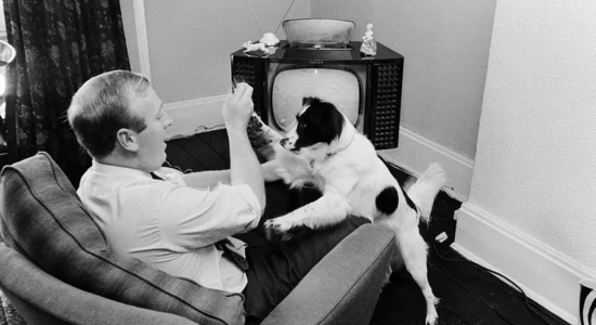 1966 World Cup Pickles the Dog