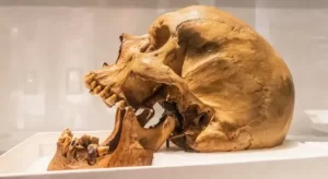 Humans Living In A Cave in Türkiye