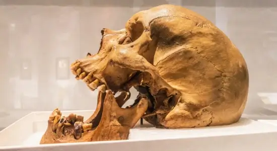 Humans Living In A Cave in Türkiye