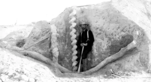 ancient Devils Corkscrews of Agate