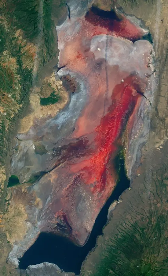 Lake Natron The African Lake