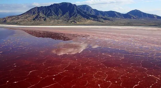 Lake Natron