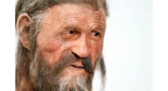 Facial reconstruction of Ötzi the Iceman, whose death coincides with a peak in Pyrenees mountain activity